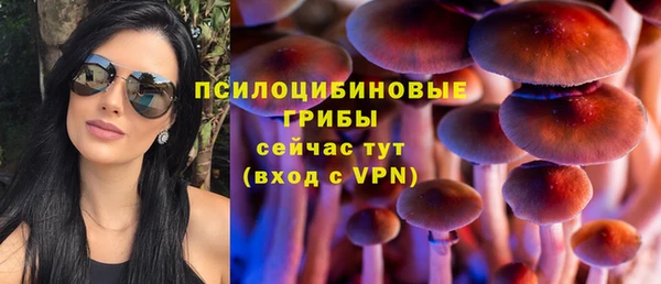 a pvp Алзамай