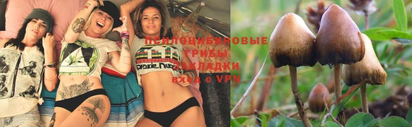ешки Алексеевка